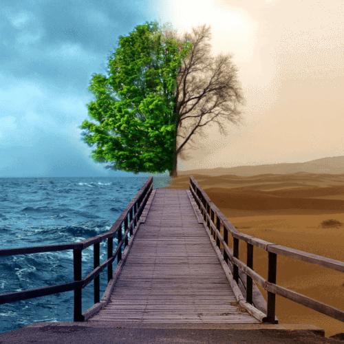 image_2023_09_21T06_31_58_829Z