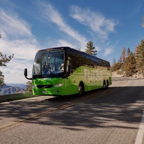 Flixbus_buses